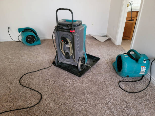 Best Basement water damage restoration  in Farmington, NM