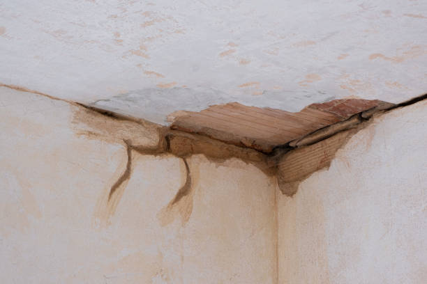 Best Flooded house restoration  in Farmington, NM